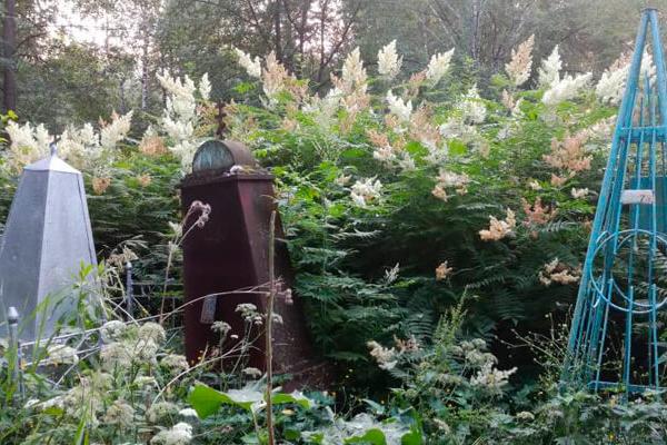 На благоустройство Егошихинского кладбища выделят 6 миллионов рублей